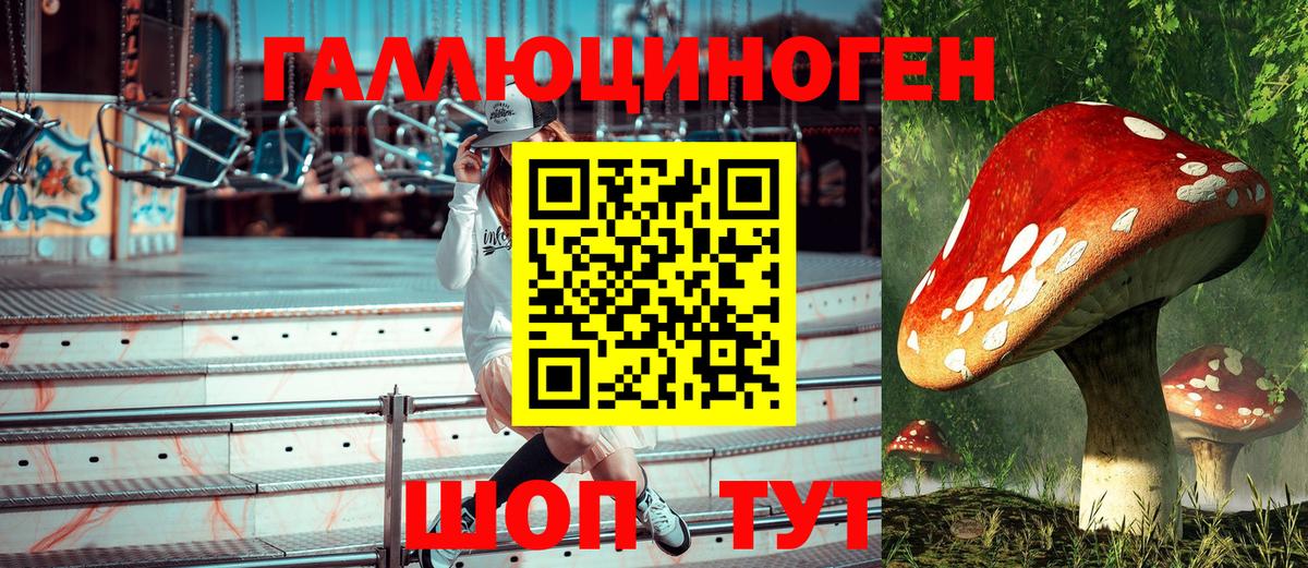Псилоцибиновые грибы GOLDEN TEACHER  Галлюциногенные грибы MAGIC MUSHROOMS  наркота  Майкоп  Вход с VPN 